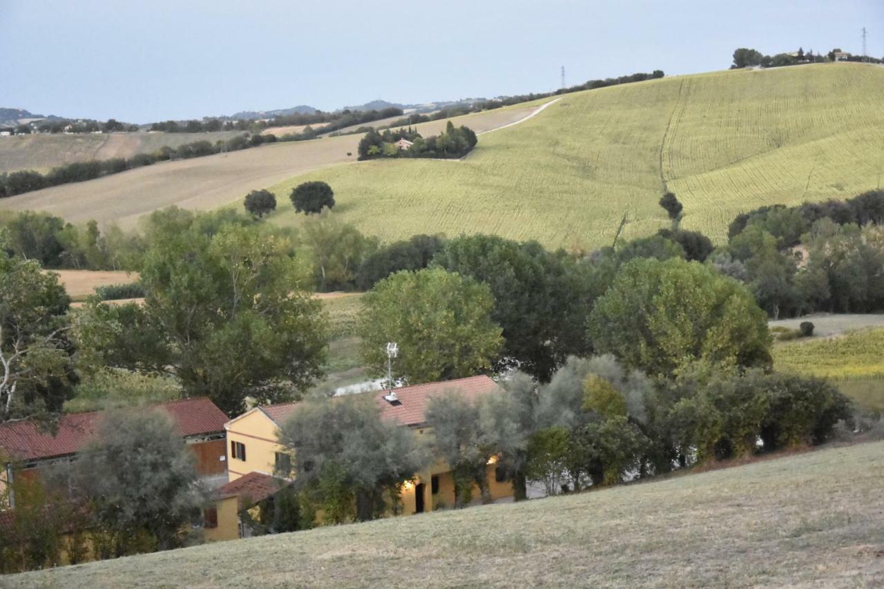 Agriturismo Fattoria Del Colle Iesi Exteriér fotografie