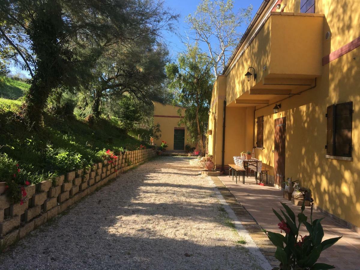 Agriturismo Fattoria Del Colle Iesi Exteriér fotografie