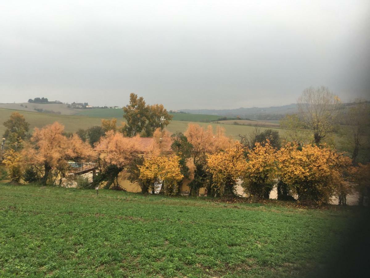 Agriturismo Fattoria Del Colle Iesi Exteriér fotografie
