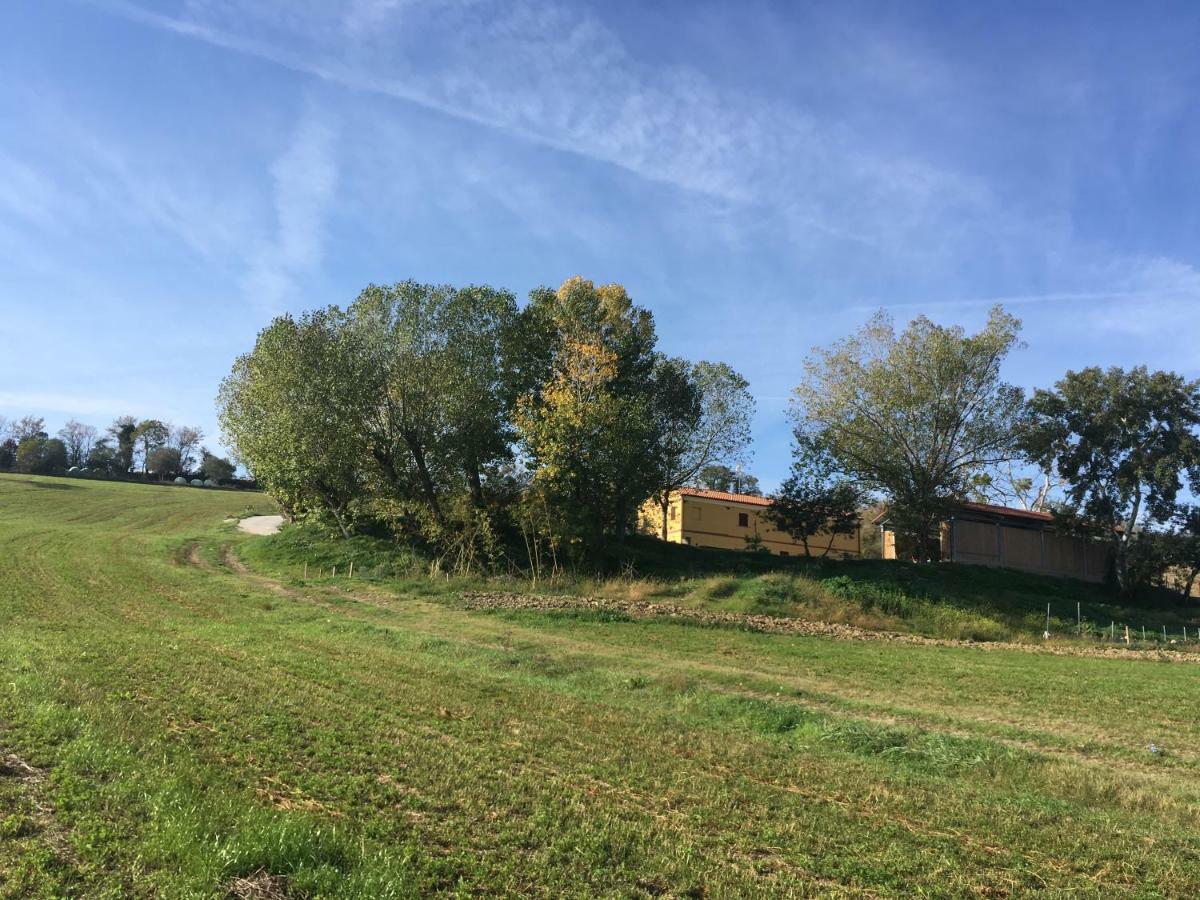 Agriturismo Fattoria Del Colle Iesi Exteriér fotografie