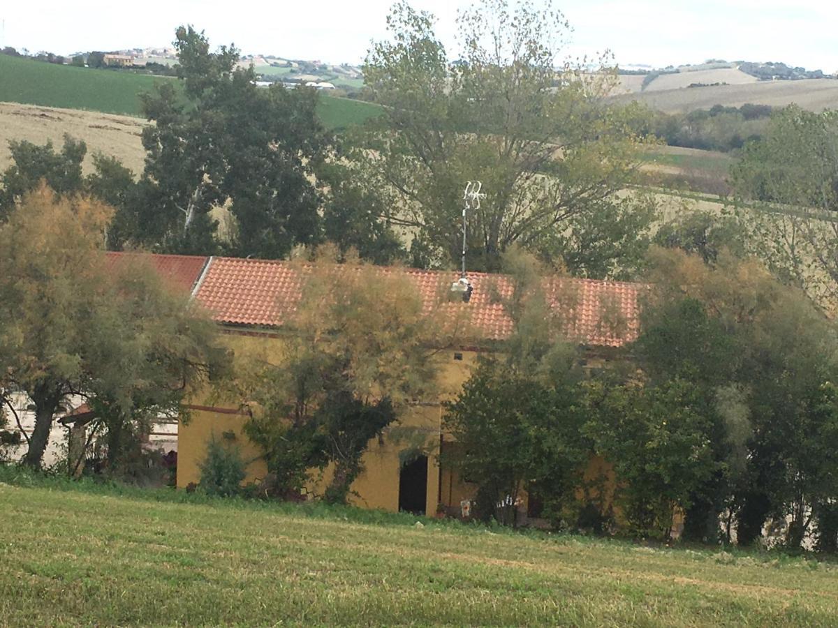 Agriturismo Fattoria Del Colle Iesi Exteriér fotografie