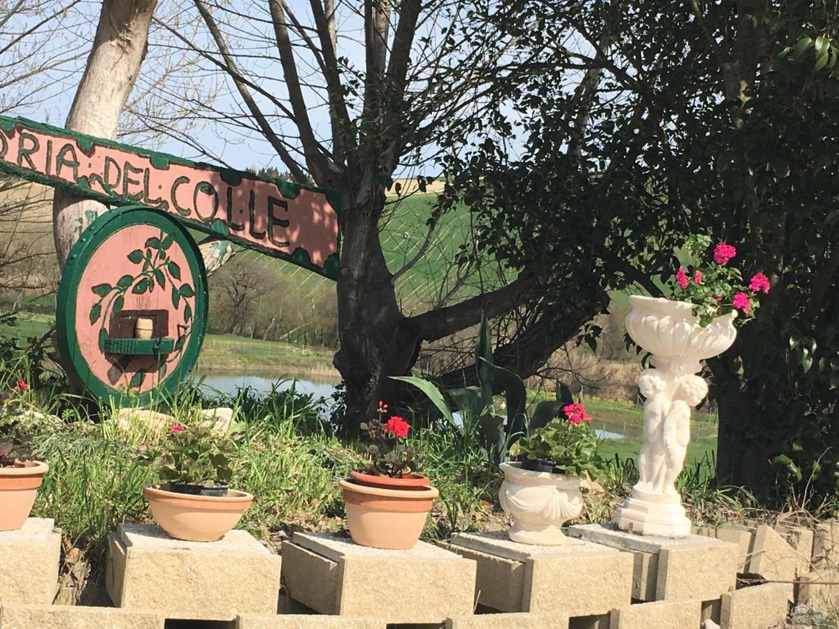 Agriturismo Fattoria Del Colle Iesi Exteriér fotografie