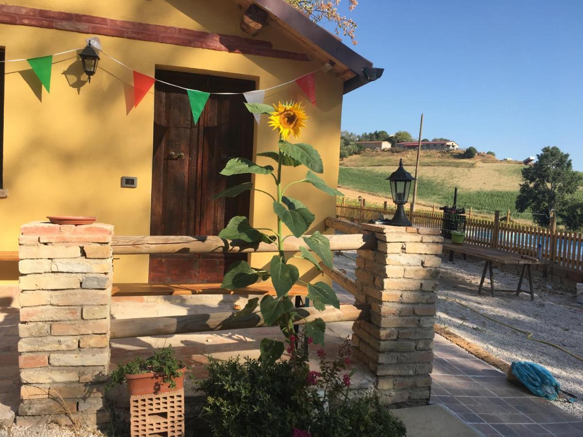 Agriturismo Fattoria Del Colle Iesi Exteriér fotografie