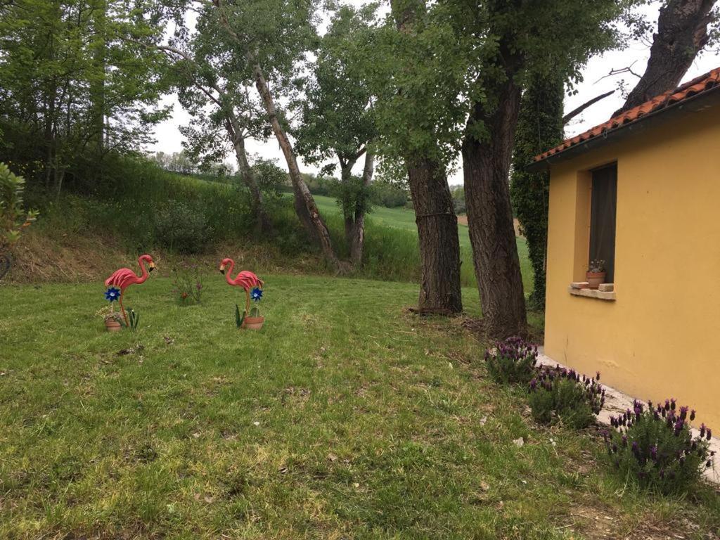 Agriturismo Fattoria Del Colle Iesi Exteriér fotografie