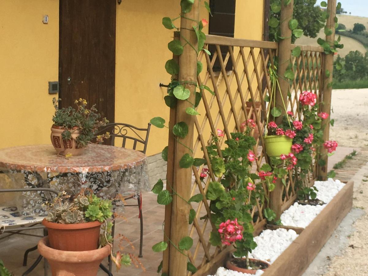 Agriturismo Fattoria Del Colle Iesi Exteriér fotografie