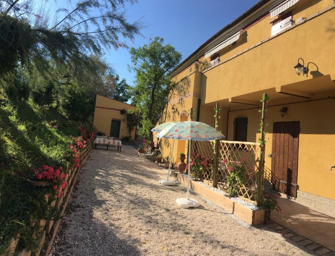 Agriturismo Fattoria Del Colle Iesi Exteriér fotografie