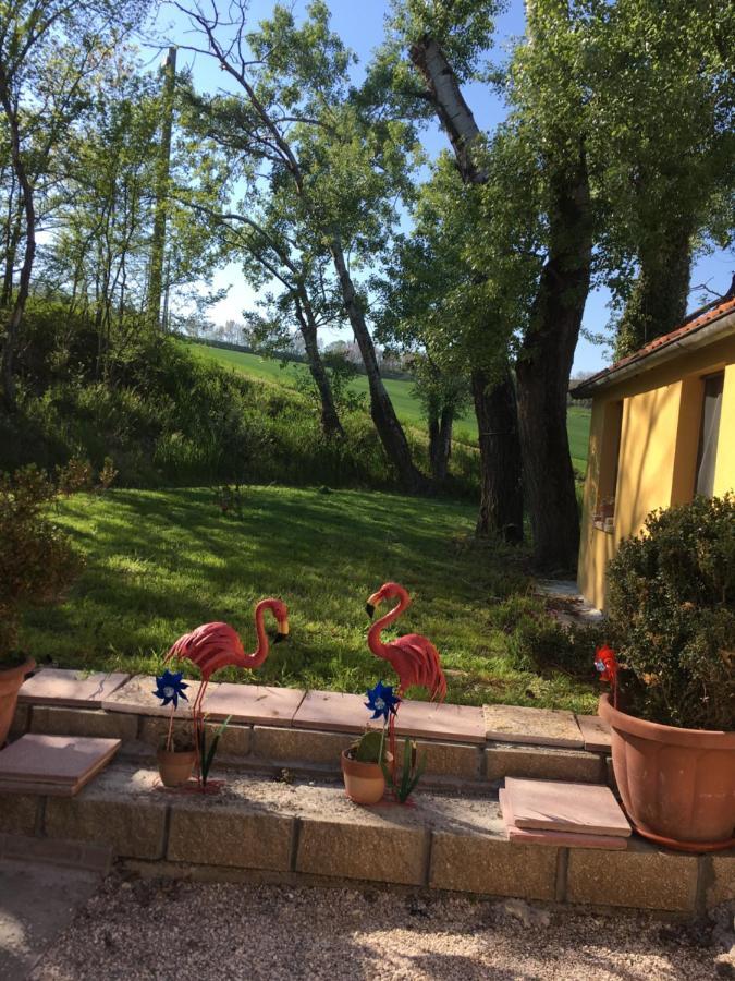 Agriturismo Fattoria Del Colle Iesi Exteriér fotografie